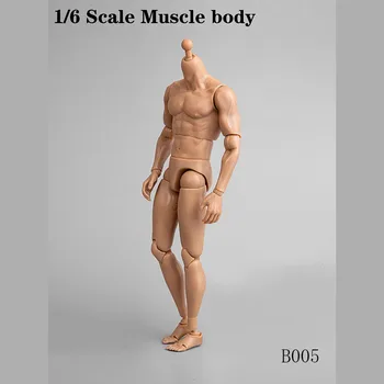 B005 1/6 Мускулите на тялото Мъжки Тясна Раменна Кавказки Мъжки Аксесоар за Тялото на Модел за 12 
